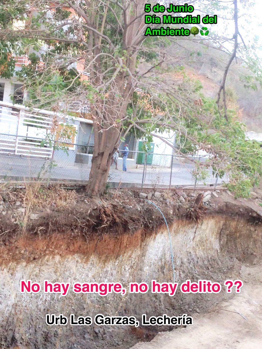 Benito Rodríguez tweet media