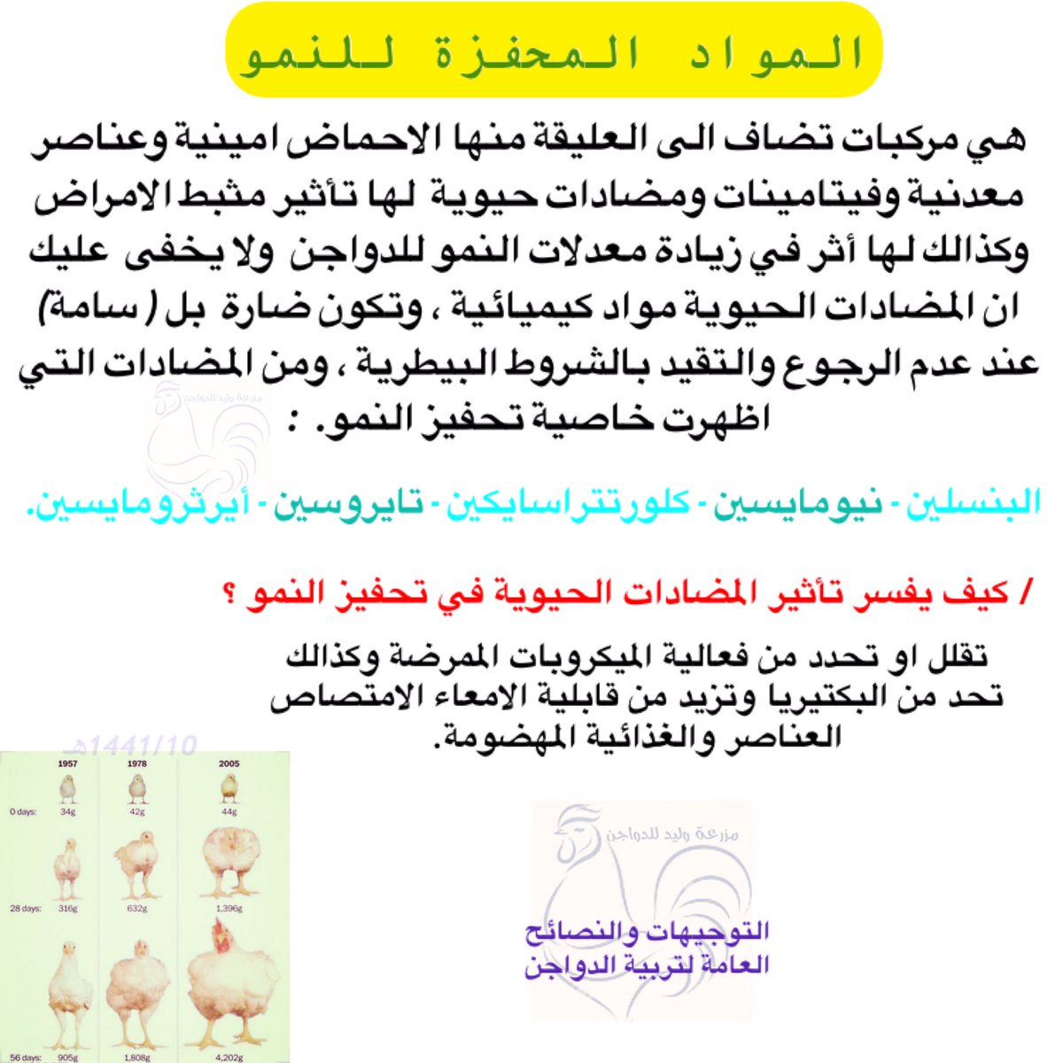 مواد محفزة للنمو الدجاج🐥🐓