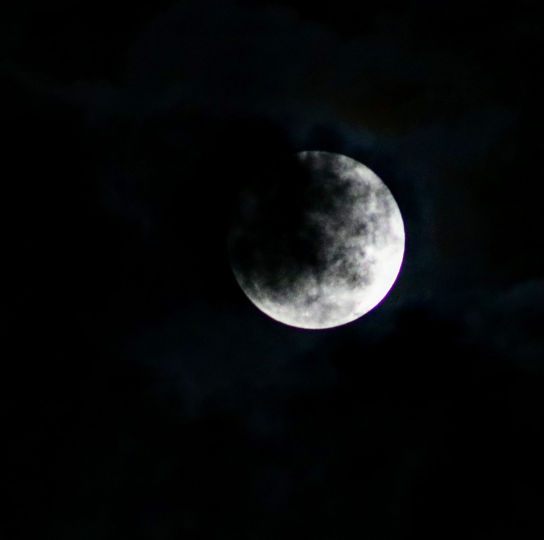 DayaneGleyce's tweet photo. #olhemalua #EclipseLunar Não vi a #luavermelha mas tá valendo a pena cada segundo. #Brasil #SP #Diadema #moon https://t.co/Sp2p4hc33M