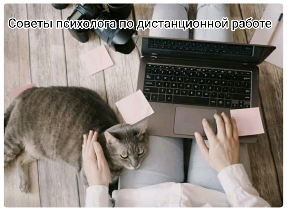 Читайте на сайте НБ ТвГУ, в Фейсбуке и Вконтакте советы психолога по эффективной дистанционной работе
#НБ_ТвГУ #Советы_психолога #Психология #Самоизоляция #Дистанционная_работа