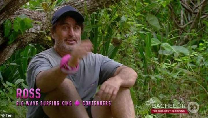 Australian Survivor Archives tweet media