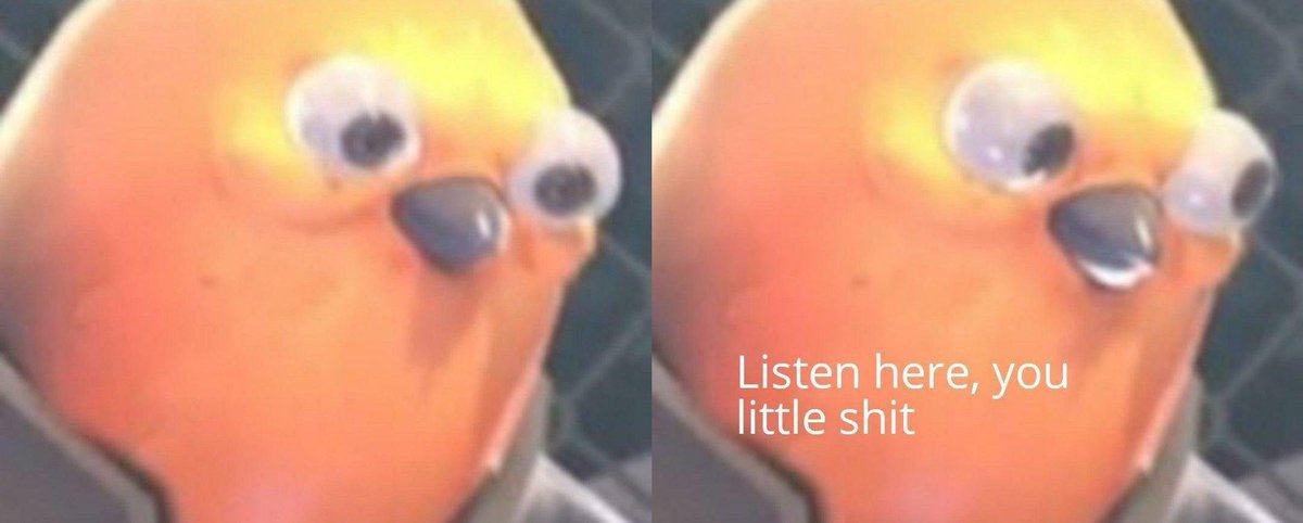 b0bba tweet media