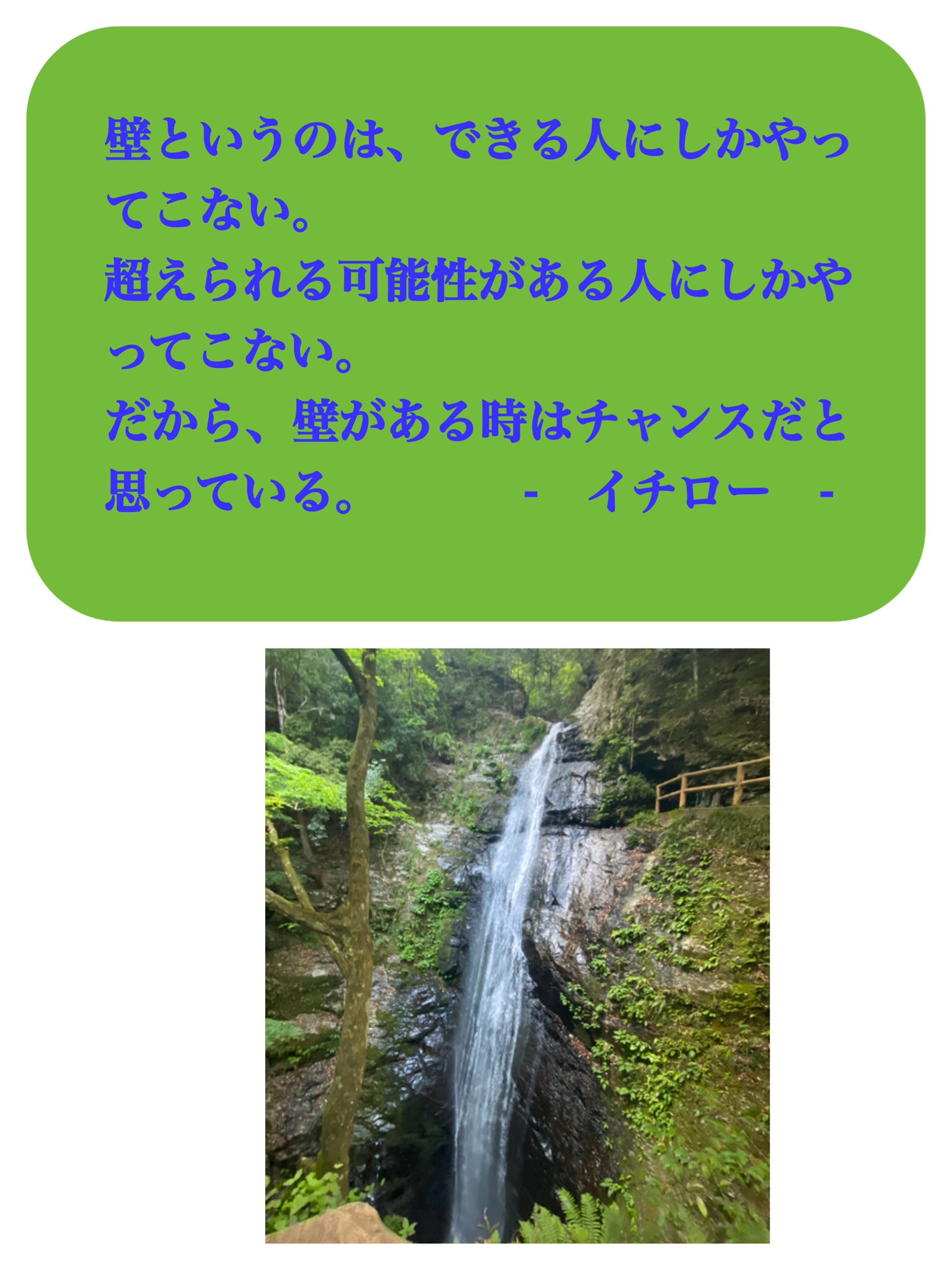 みゆあ 今朝 一言名言集を検索 一番最初に目に入ったのがイチロー選手の言葉でした そういえばピンチはチャンスって思うようになってきた Helloagain イチロー選手 ピンチはチャンス 名言 T Co Habxoaotxf Twitter