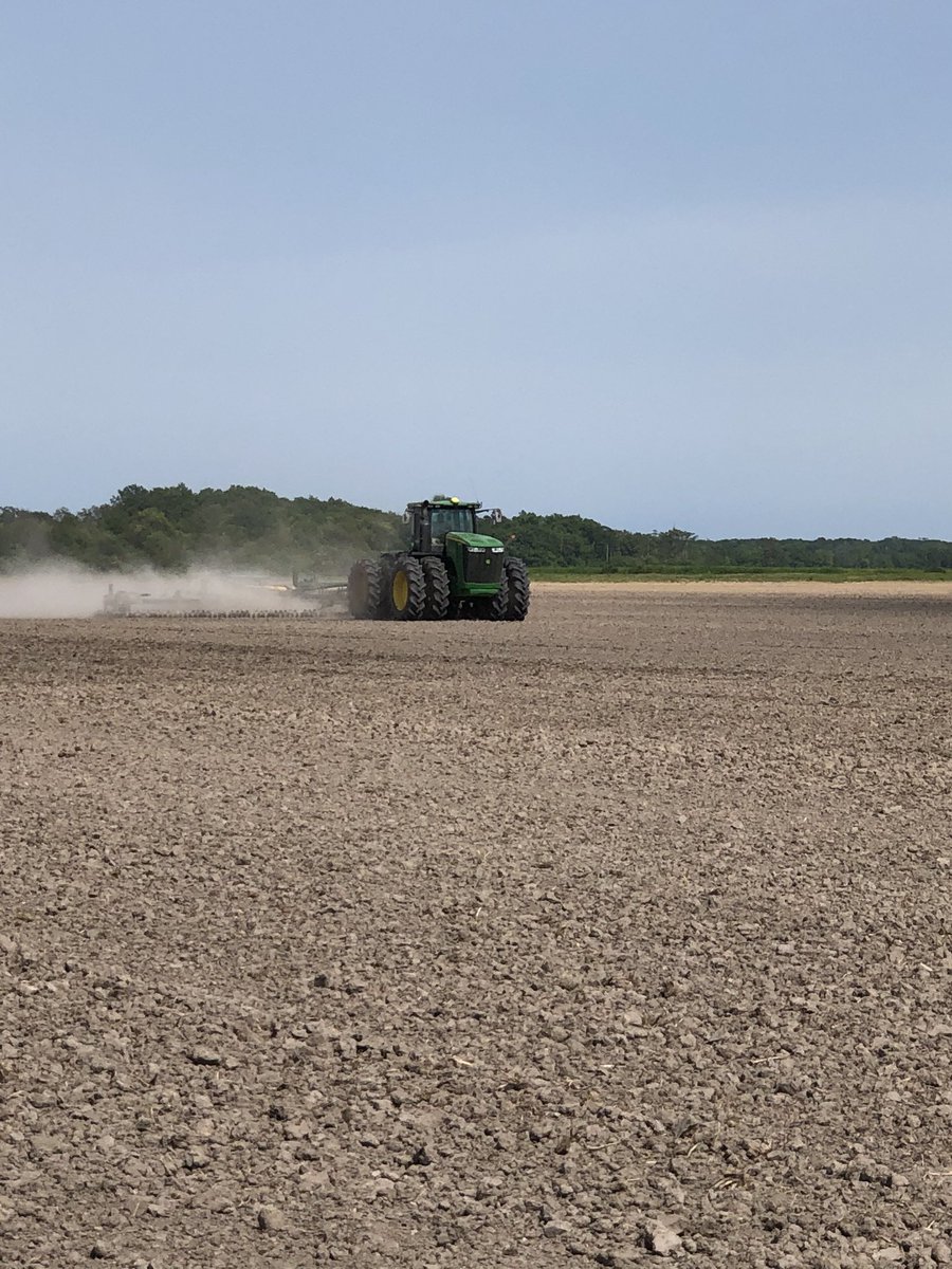 Broadcasting some soybeans, is it .5” of rain coming or 5”? Ppst seed treatment better get tough!