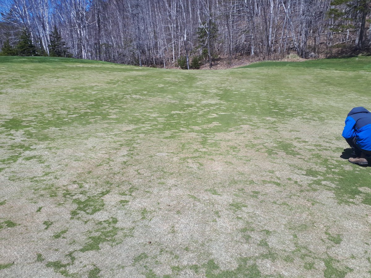 Trevor Blanche tweet media