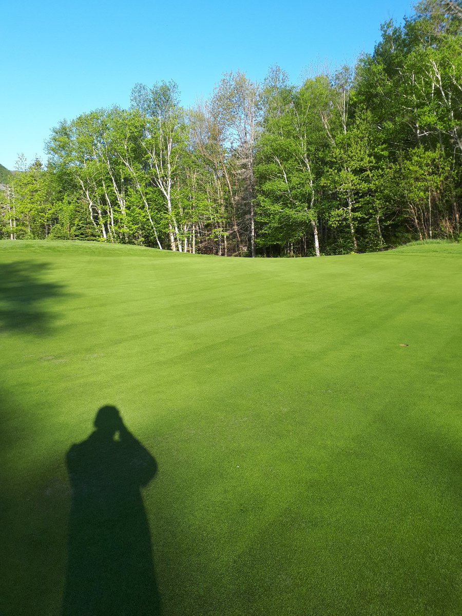 Trevor Blanche tweet media