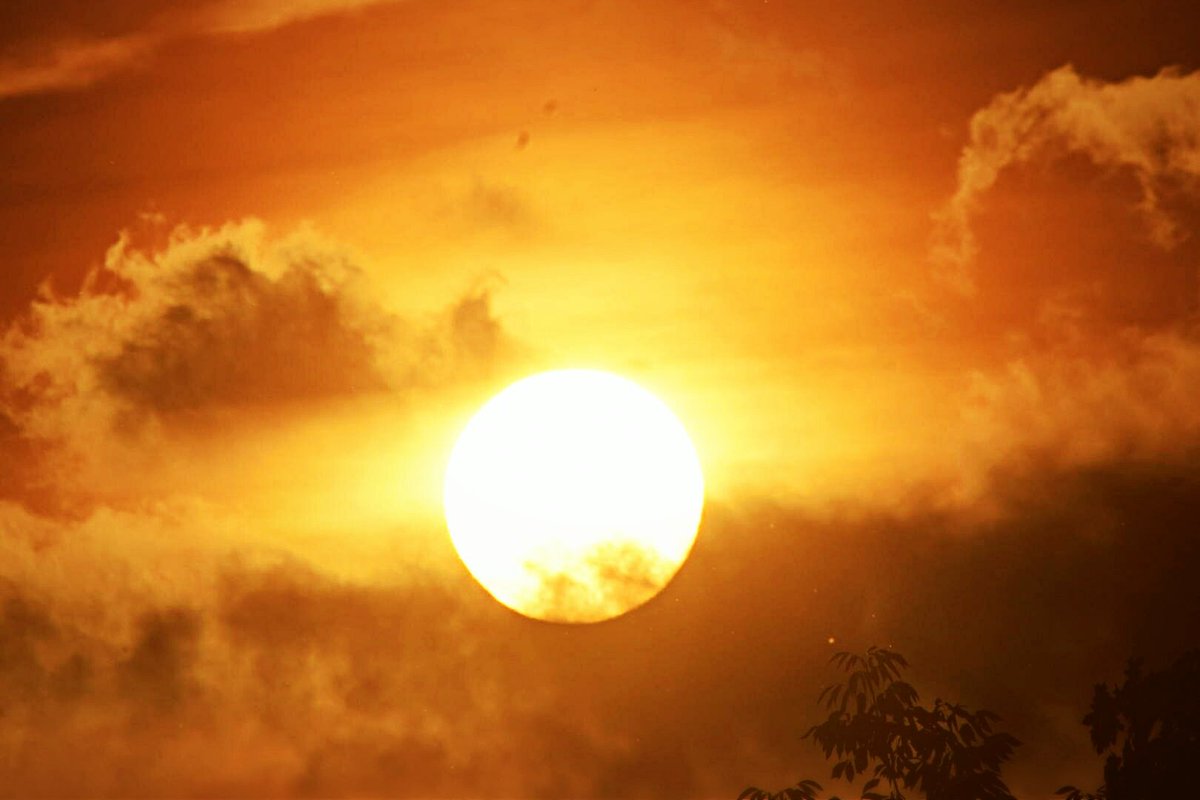 Suzanne's Scenes Photography 📷 tweet media