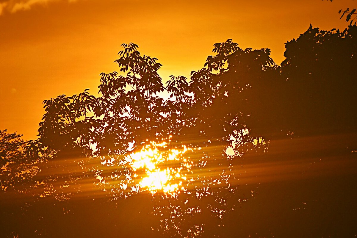 Suzanne's Scenes Photography 📷 tweet media