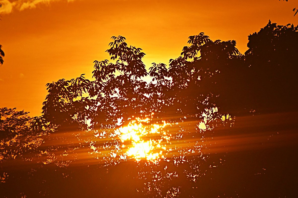 Suzanne's Scenes Photography 📷 tweet media