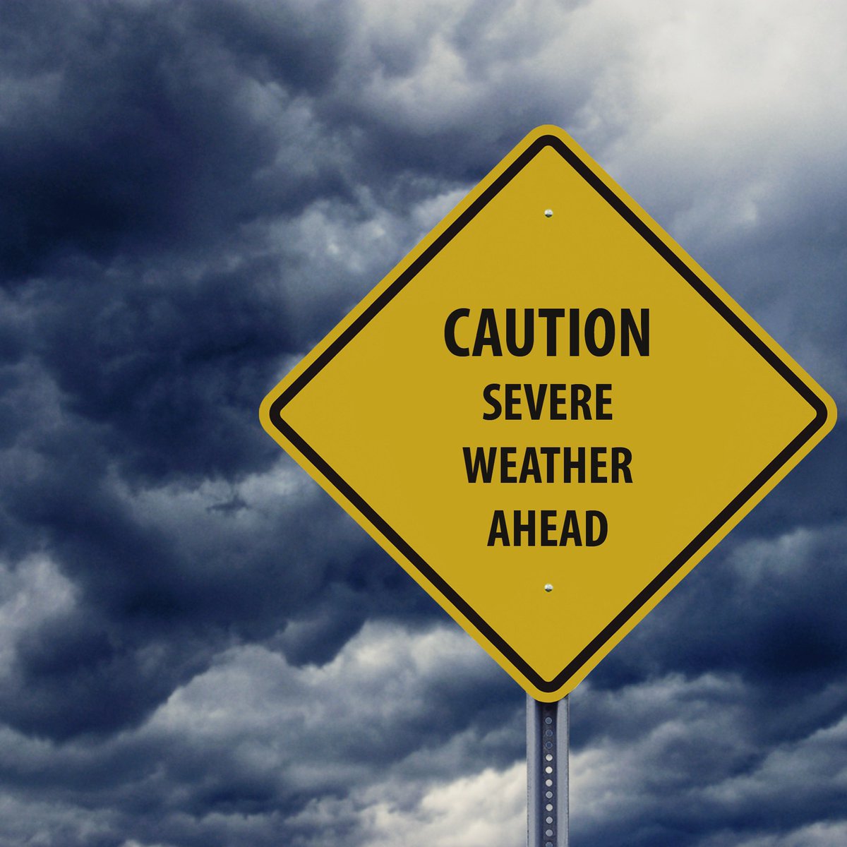 LaAgandForestry's tweet photo. Hurricane season is ramping up with the threat of Cristobal looming. While you prepare your family and home for possible storms, don't forget about your four-legged family members.
#TakeYourPetsWithYou #LDAF https://t.co/HD2rj1TvIg