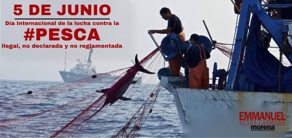 EmmanuelReyesC's tweet photo. 🚫🎣🐟 #DíaInternacional de la #LuchaContraLaPescaIleegal, #NoDeclarada y #NoReglamentada
Se pretende terminar con una de las mayores amenazas para los #EcosistemasMarinos y las #PrácticasAbusivas que ponen en peligro los recursos pesqueros del planeta.
🚫🐳🐋🐬🐟🐠🐡🦈🐙🎣🚫 https://t.co/WoMjhzXyfe