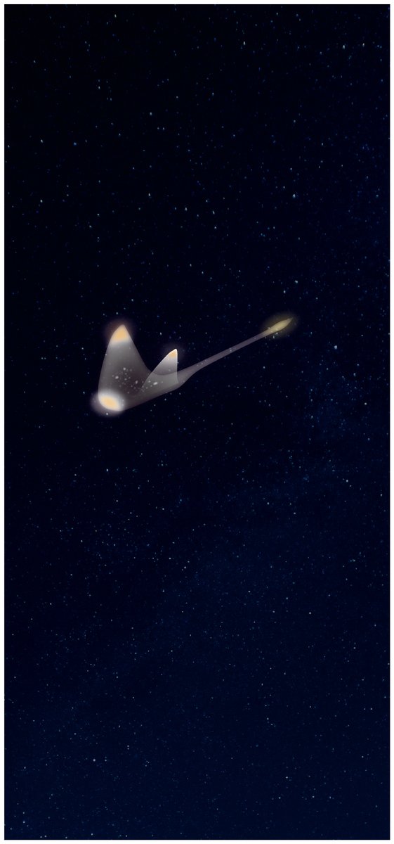 Sara Sky マンタ待ち受け作りました 昼と夜の姿 Sky星を紡ぐこどもたち Thatskygame Thatgamecompany 光のマンタ 待ち受け For Personal Use