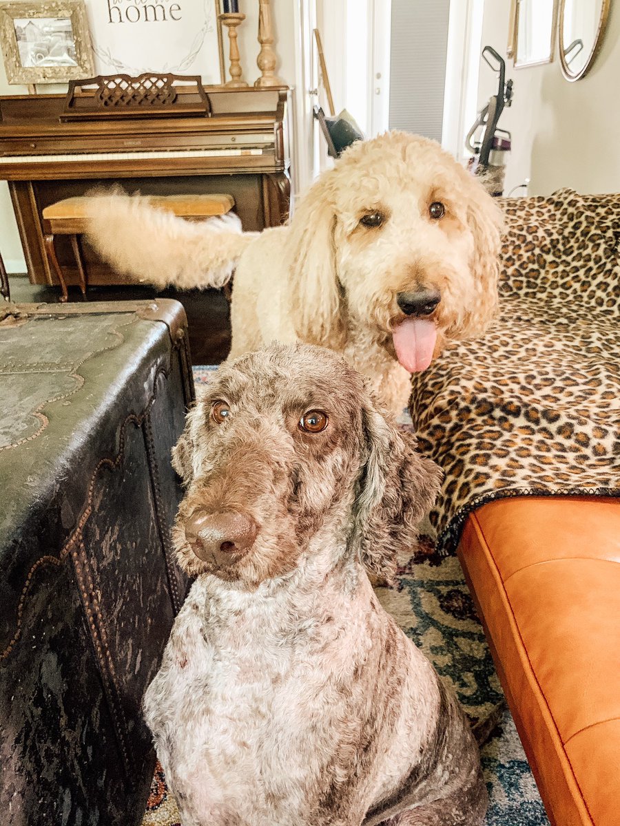 Abbey Key Seawright (@abbey_key_) | Twitter