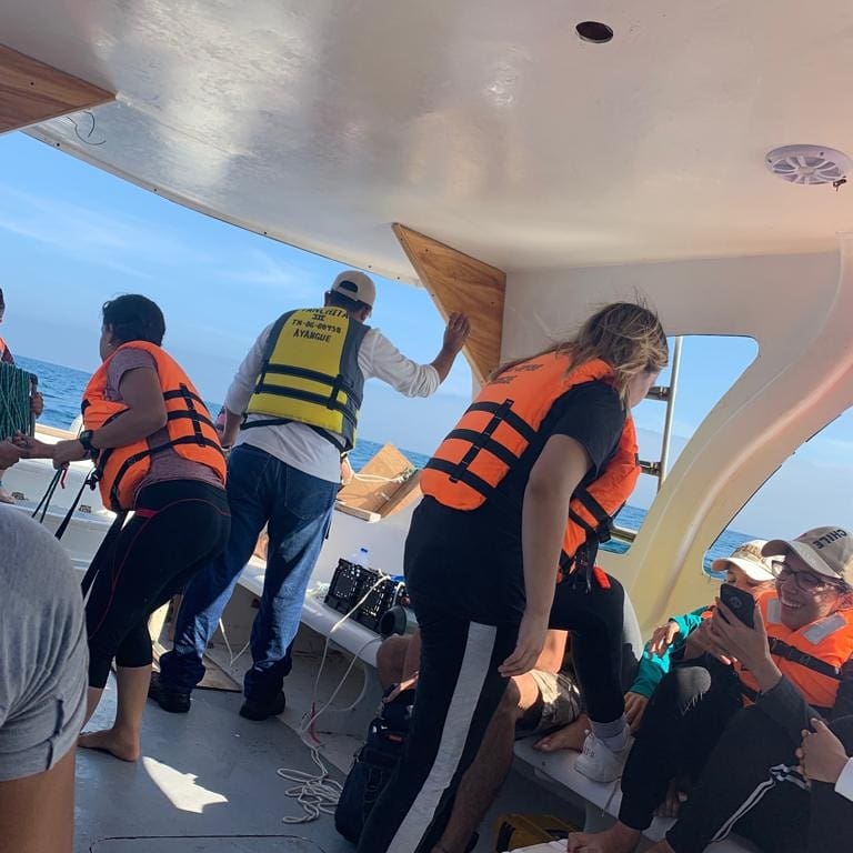 jlynch0811's tweet photo. #SemanaDelOceano2020 #SemanaOkeanos2020
@ClubOkeanos 
Recopilación Salidas de Campo
FIMCM https://t.co/stN0x4EFF8