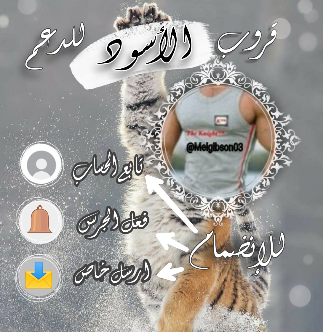 ✒️mariam tweet media