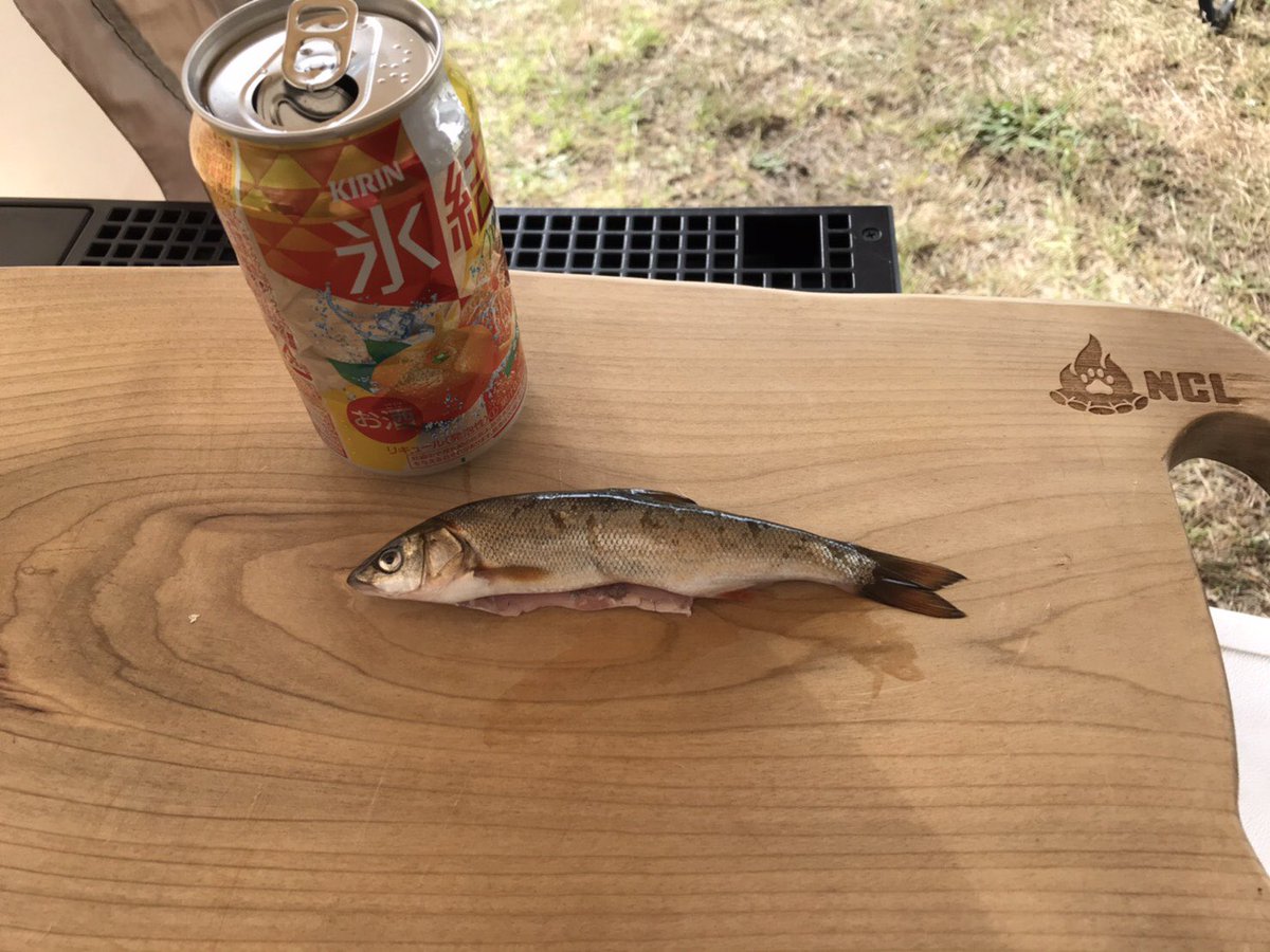 M Murata 教えてください 種類が不明で調理方法に悩んでます 防波堤でアジ釣りしてる最中に釣れた魚なんです 12cm程度