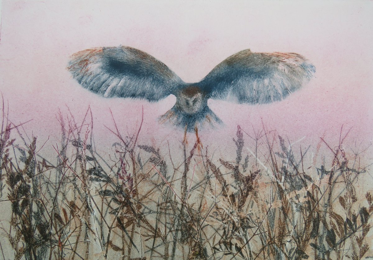 jcurtisart's tweet image. #BarnOwl at dusk #Monoprint from earlier this week based on my recent experiences watching a barn owl hunt