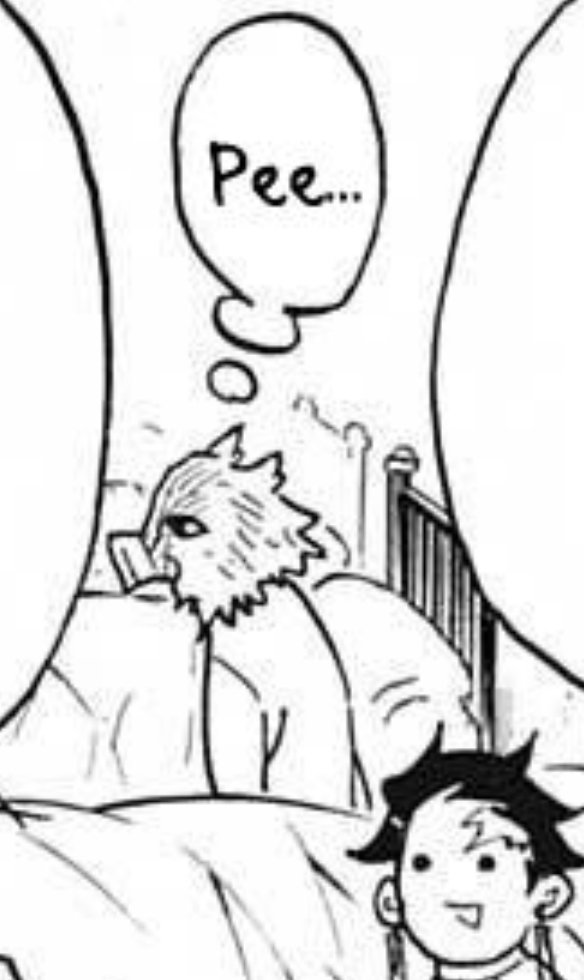 𝑺𝒉𝒊𝒏𝒐𝒃𝒖 𝑲𝒐𝒄𝒉𝒐𝒖 。」 (@insecthcshira) on Twitter photo 