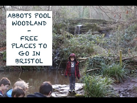 Taking_5's tweet photo. Do you know Abbots Pool Woodland? Watch this video to find out more about the hidden gem in North Somerset on the outskirts of Bristol. Great place to explore nature with the bonus that entry and parking are free. https://t.co/y2hRHY1XDR #abbotspool #northsomerset @woodlandtrust https://t.co/PaGP37Yc7m