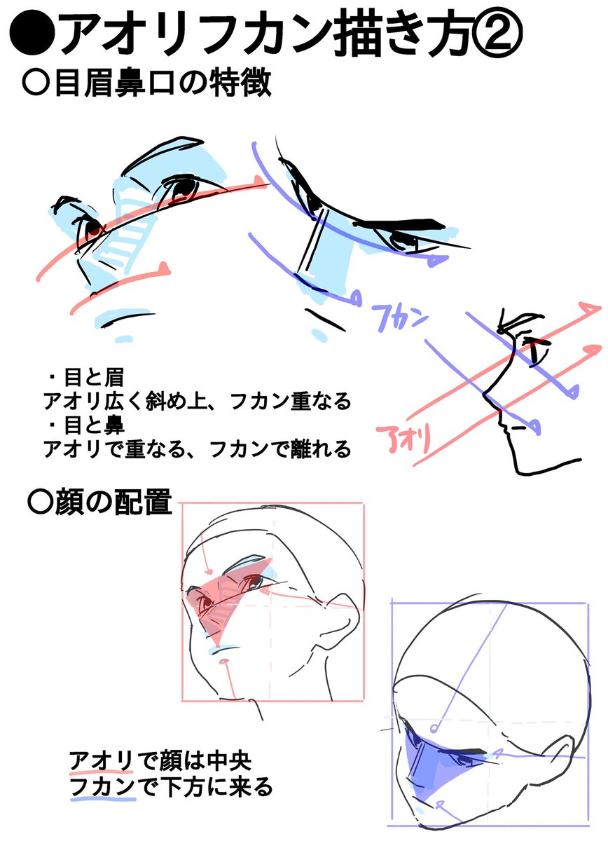 ○アオリフカンの描き方ポイント
・目と眉
アオリ広く斜め上、フカン重なる
・目と鼻
アオリで重なる、フカンで離れる
※20年5月基礎コース添削結果より 