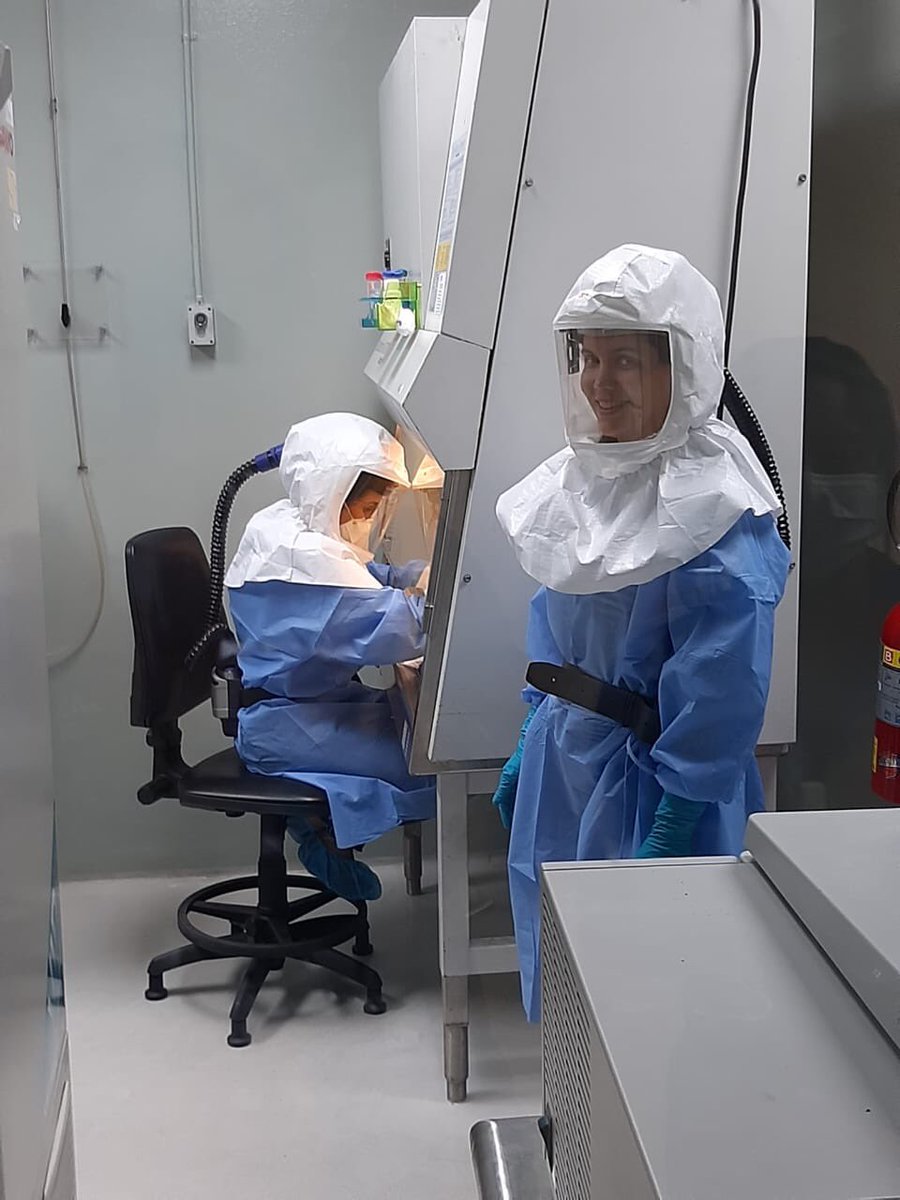 Sandra López Vergès tweet media