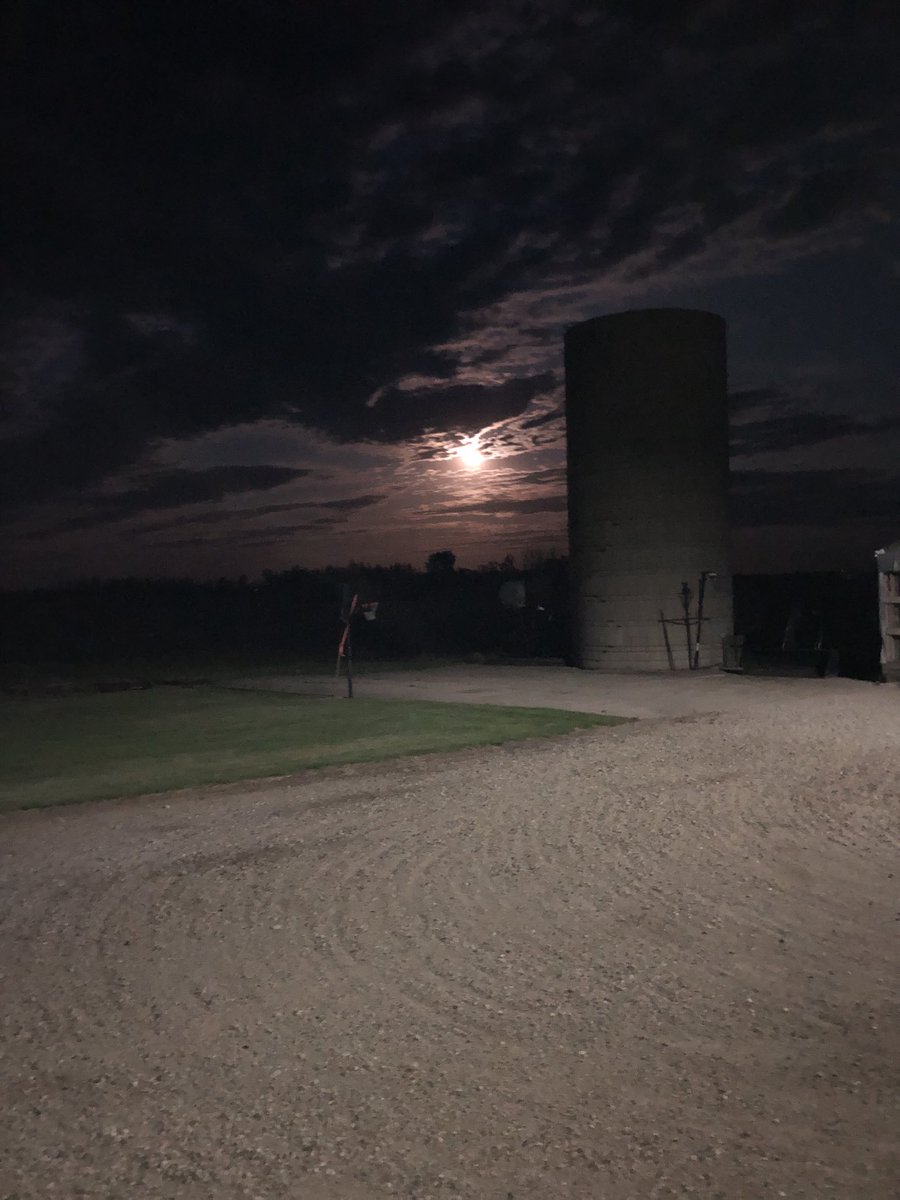 scottmeyer8's tweet image. Strawberry moon at my house tonight