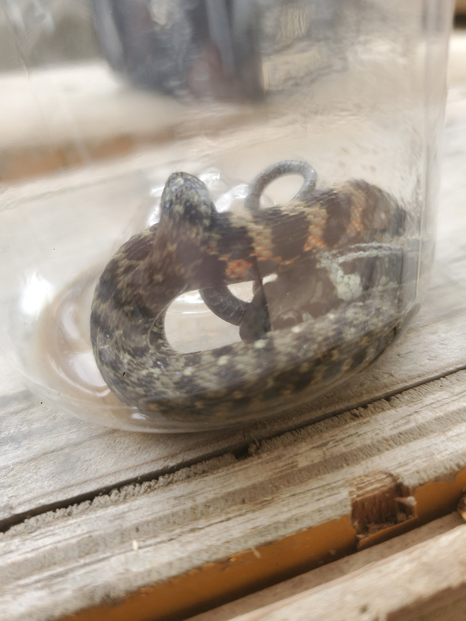 تويتر Cassis Ff14 على تويتر Ps3193aetc 帰りに解放する