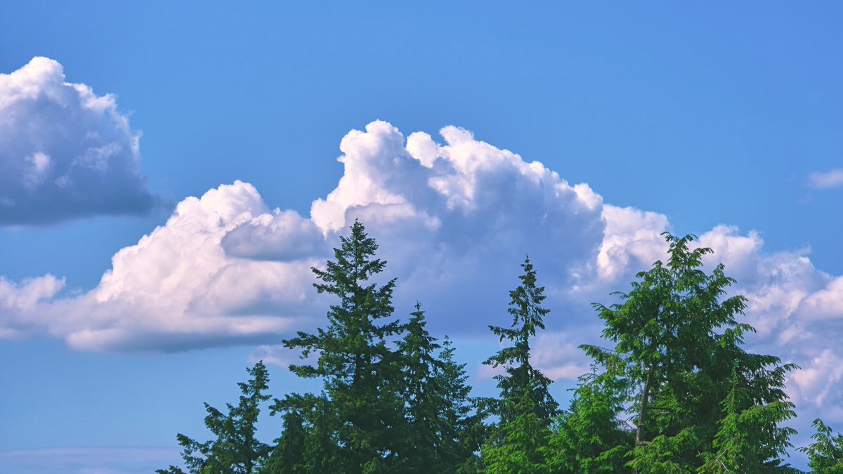 아무리 자주 봐도 질리지 않는 이런 구름.