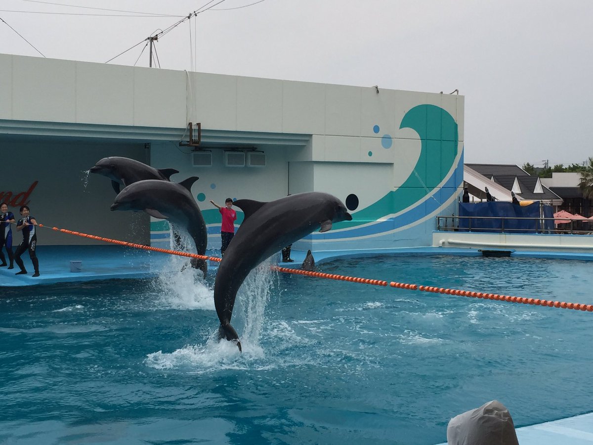 Grimlock Rex Gungnir コロナ前から子ども連れて来たかった遊園地 今日は南知多ビーチランド イルカショーで喜んでくれたぽそう 南知多ビーチランド