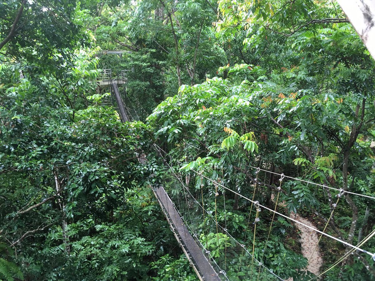 apz_xo's tweet photo. Wow I just found out today during our Convention meeting that the Faleaulpo Rain Forest School & the Aerial walkway was funded through our Force For Good Foundation by the company I am partnering up with. (NU SKIN) how amazing!!!
#nuskin
#samoa
#forceforgoodfoundation https://t.co/ak7xpQ2XO6