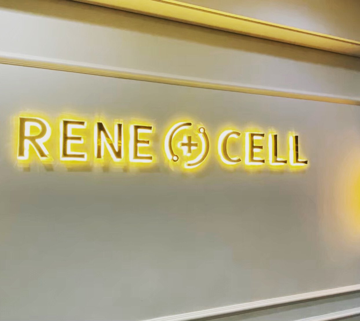renecell-ルネセル (@japan43968670) / X renecell-ルネセル (@japan43968670) / X