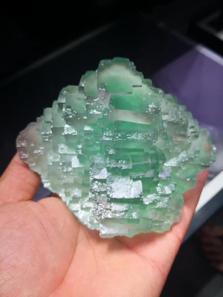addmian001's tweet photo. 🦄New Collection! ！
☘️How about those fluorite specimens?
☘️I like #1 &amp; #5，Which one do you like？

Facebook:https://t.co/65zbD8frV9 https://t.co/yZbAxnbwFU