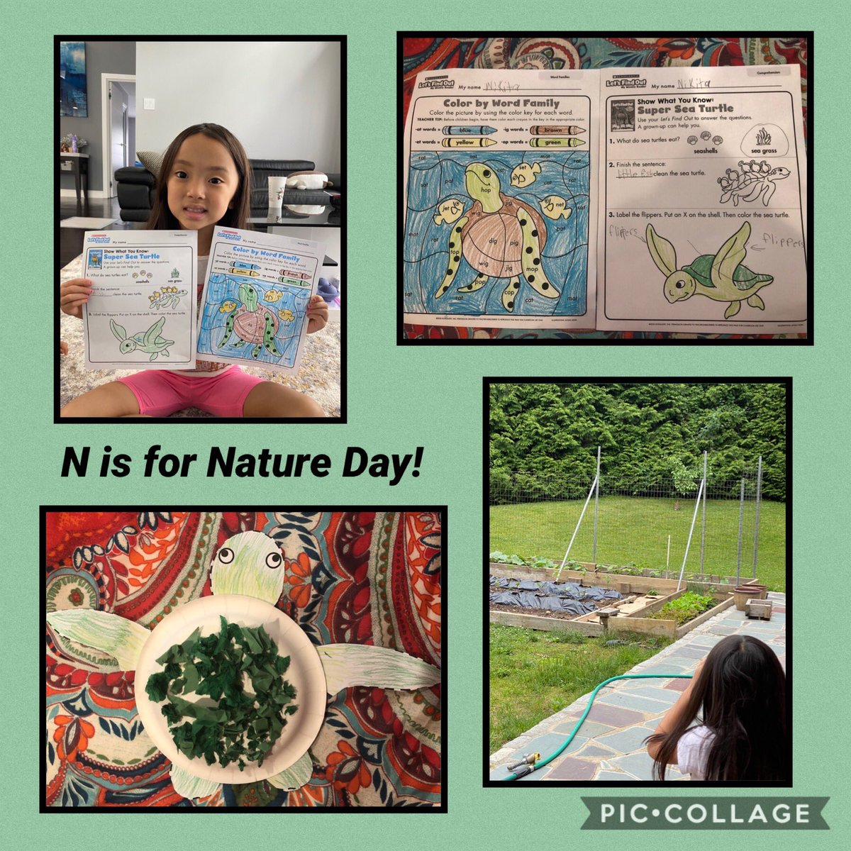 Let’s Find Out About Sea Turtles! ⁦<a href="/Ivysherman/">Ivy Sherman, Ed.D.</a>⁩ #seamanstrength