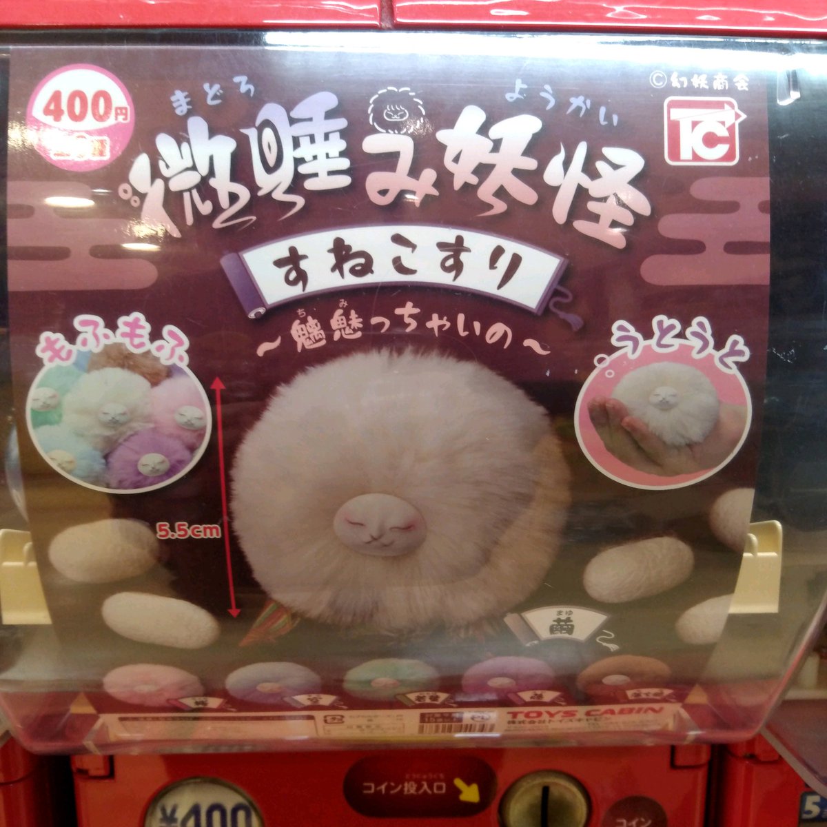 ট ইট র ガチャ王国広島店 新商品入荷 トイズキャビン 微睡み妖怪 すねこすり 魑魅っちゃいの ガチャガチャ カプセルトイ 広島 Hiroshima 本通り ガチャ王国 微睡み妖怪 すねこすり 妖怪 T Co Biyglbtpm3 ট ইট র