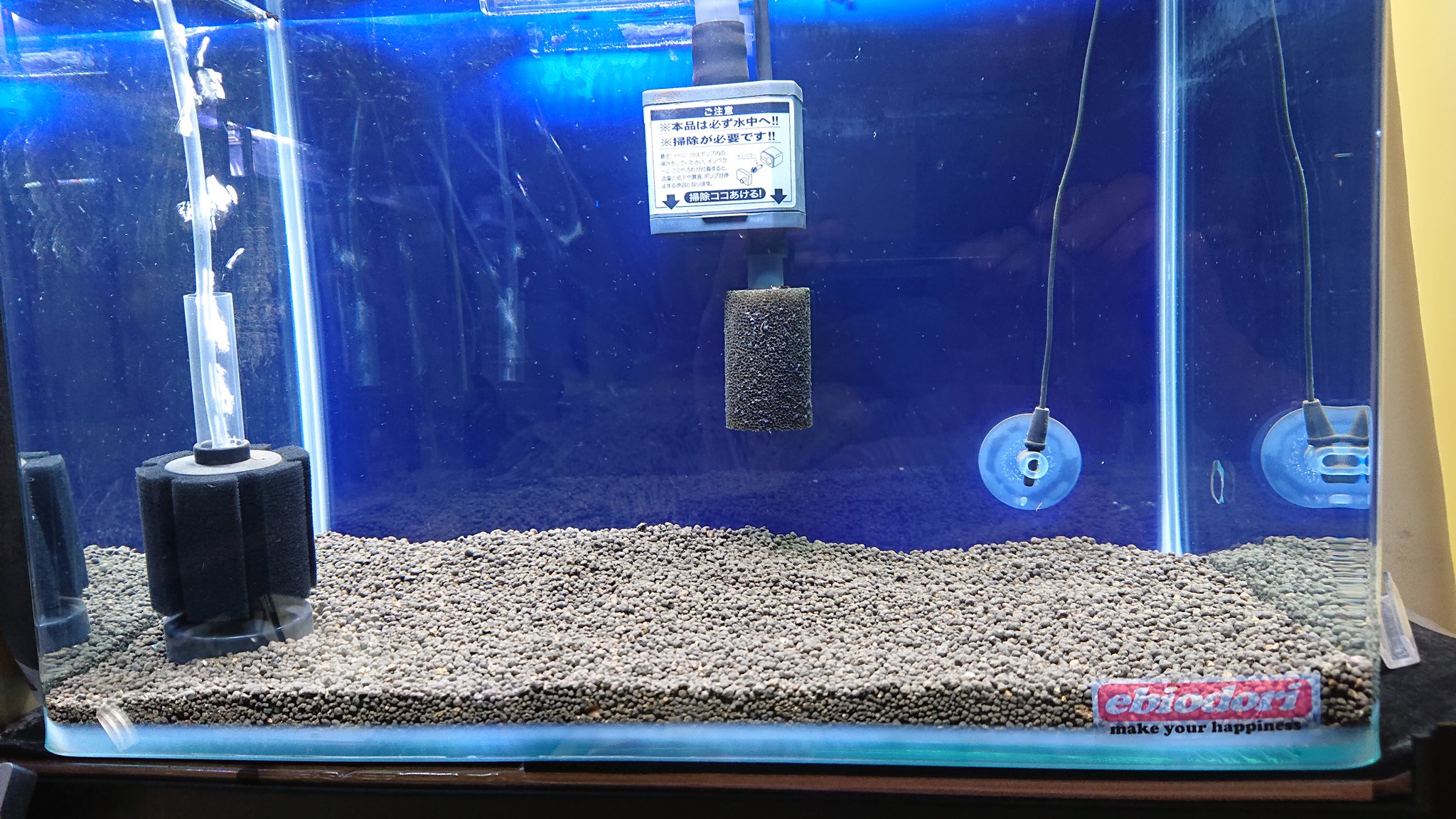 イッセー 450rでダンシングソイル さらに薄敷き2日目 生体は未定w ビーシュリンプ Ebiodori イッセー 450rでダンシングソイル さらに薄敷き2日目 生体は未定w ビーシュリンプ Ebiodori
