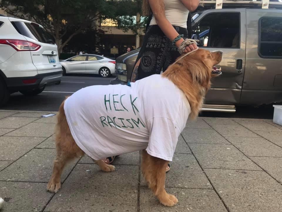 thread of very good dogs protesting for justice