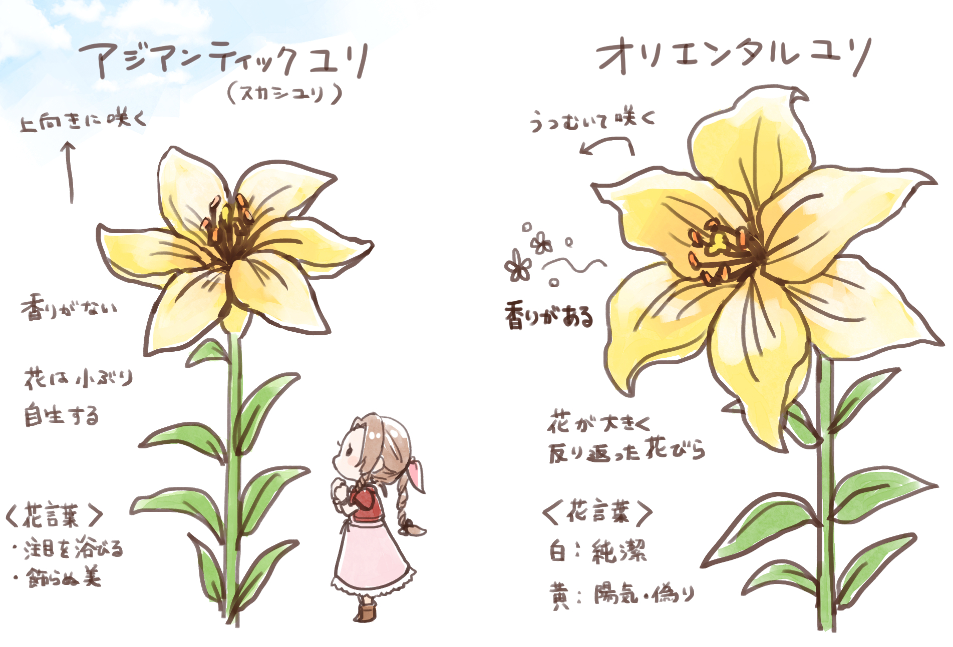 エアリスのお花 Ff7の世界とは花言葉が異なるのでユリに似たオリジナルの花なんだけど 上を向いて咲くのがエアリスっぽくて良いなと思ったのでメモ T Co E1kq5dklij Twitter