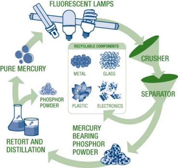 ToxinsAnd's tweet photo. Almost every part of a light bulb can be recycled! https://t.co/i6OxCdCgnE