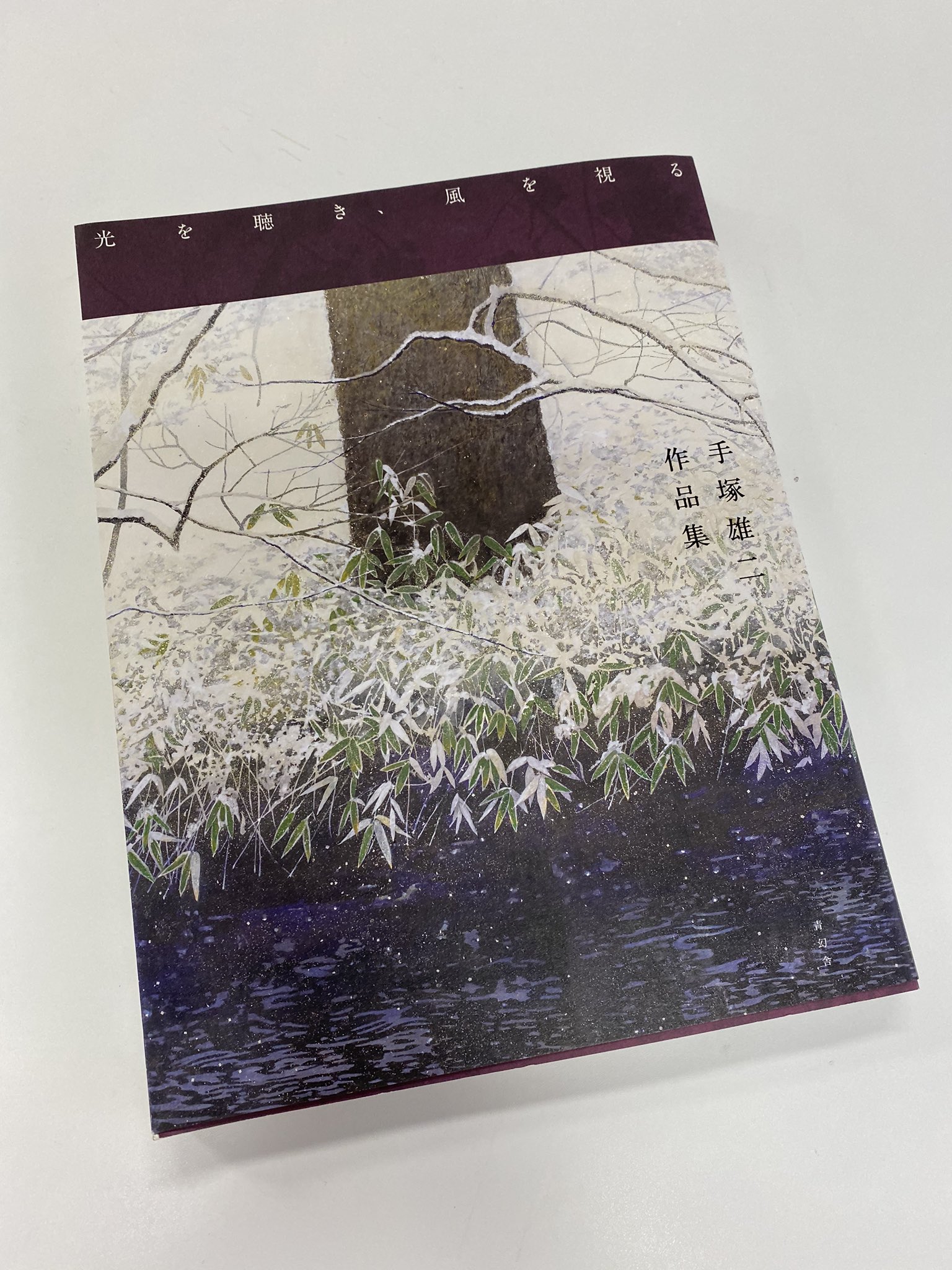 手塚雄二 作品集「光を聴き、風を視る」2019年 初版 青幻舎 | www 