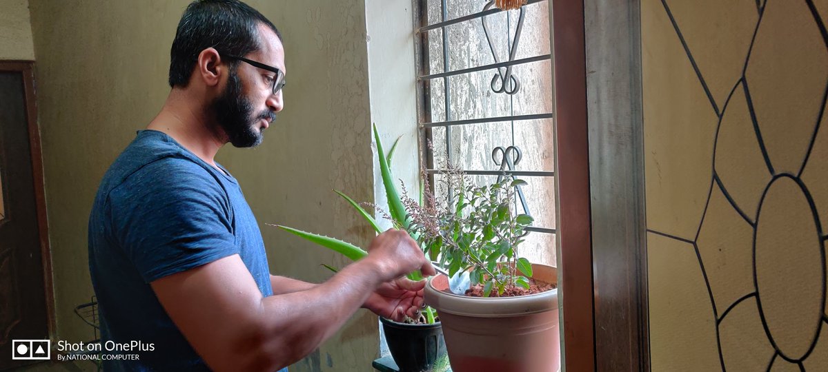 CscvlePune's tweet photo. #cscplantatree #WorldEnvironmentDay2020, #WorldEnvironmentDay
#WorldEnvironmentDay let us take appropriate measures to protect the plants and animals.तुलसी के पौधे को मां लक्ष्मी का प्रतीक माना जाता है.तुलसी को सेहत के लिए भी वरदान है @dintya15 @CSCMaharashtra @CSCegov_ https://t.co/gyqkTm4MTR