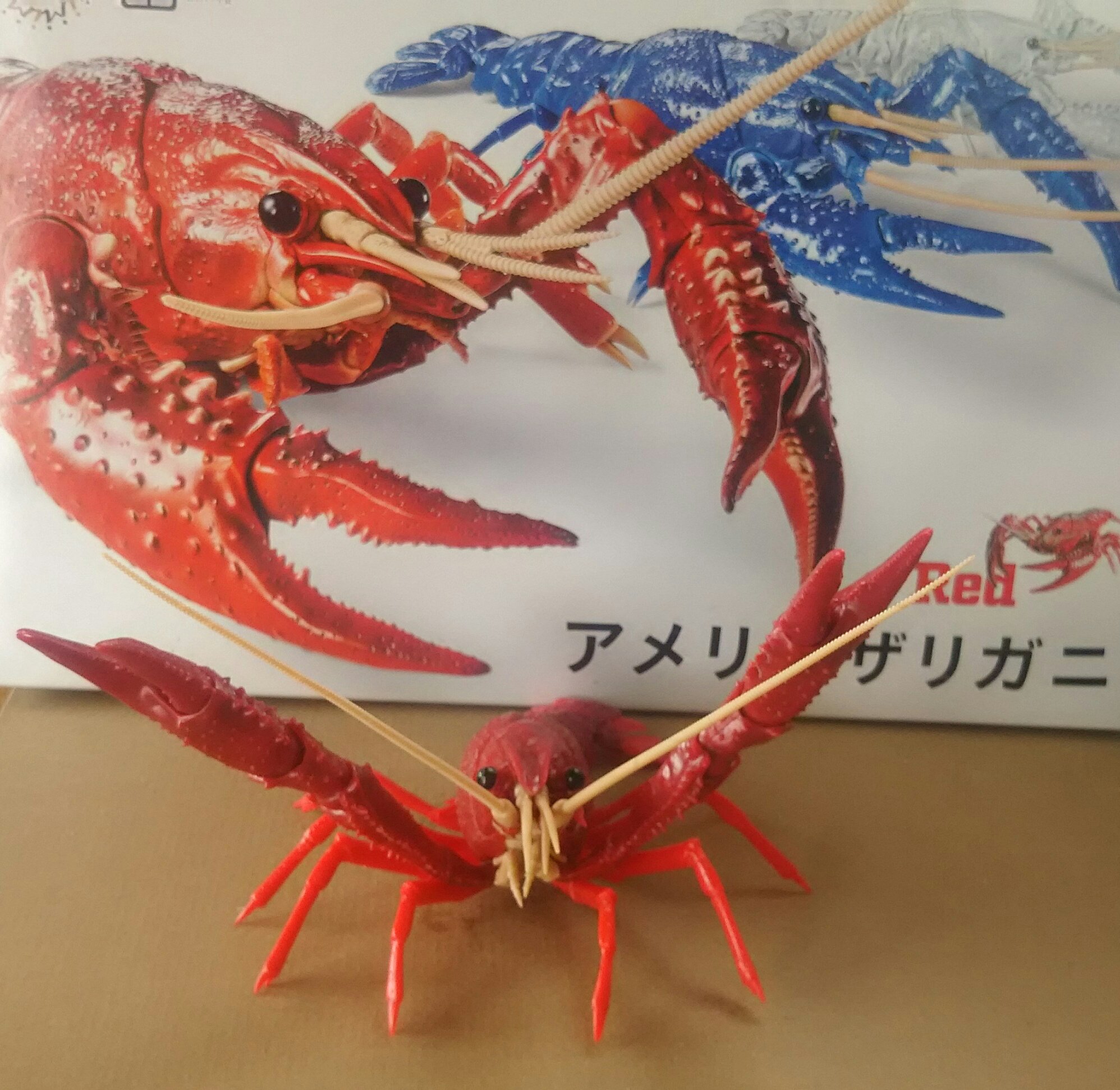 のりザリガニ様オーダー ザリガニのプラモデル - অনুসন্ধান / X