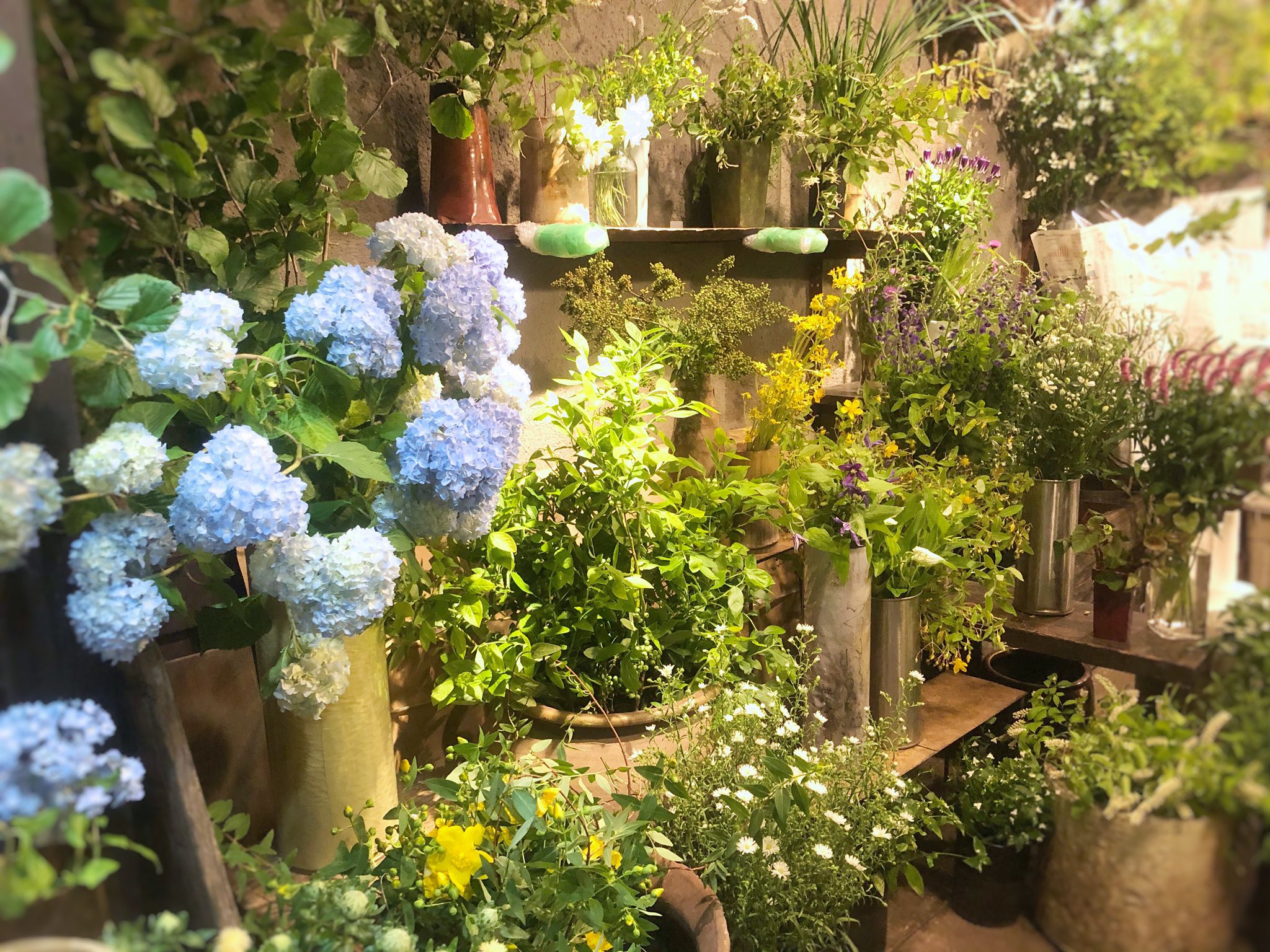 銀座で人気のお花屋さん29選 銀座駅から徒歩30秒の駅チカなお店も Pathee パシー