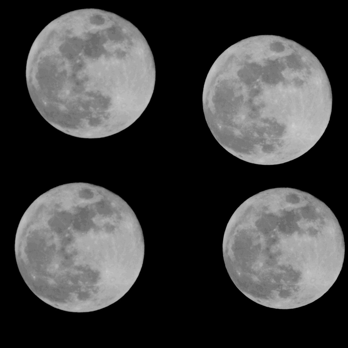 pedrobec02's tweet photo. #LunaDeFresa #LunaLlena en CDMX https://t.co/oKg7nnQ7bT