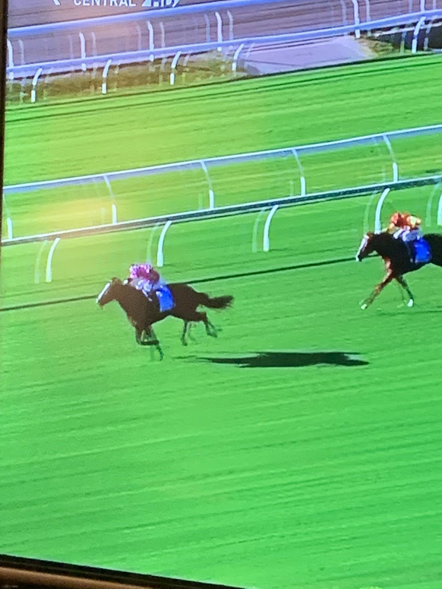 He said his best since Buffering! Congrats <a href="/robheathcote/">Rob Heathcote</a> Rothfire wins the G1 Atkins! By <a href="/GlenloganPark/">Glenlogan Park</a> former sire Rothesay 👏👏👏