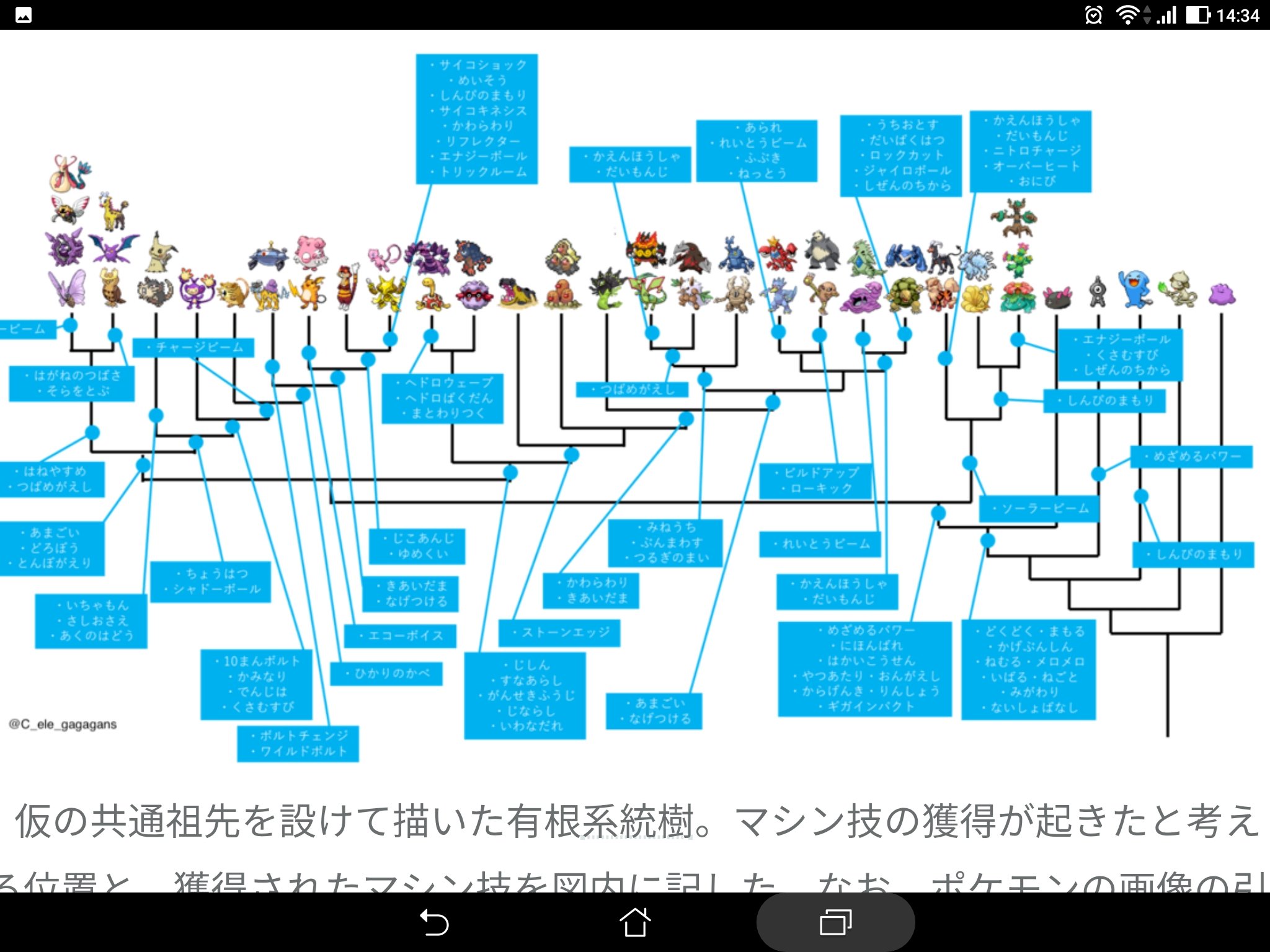 ハタ 技を用いたポケモンの系統分類 T Co Psnpk199vk イントロからしてガチだし 技から分類すると はじまりのポケモンはメタモン という ポケモン起源論に一石を投じるすごい学説 ご本人は ミュウ祖先説 を否定するものではない ハタ 技を用いたポケモンの系統分類 T Co Psnpk199vk イントロからしてガチだし 技から分類すると はじまりのポケモンはメタモン という ポケモン起源論に一石を投じるすごい学説 ご本人は ミュウ祖先説 を否定するものではない