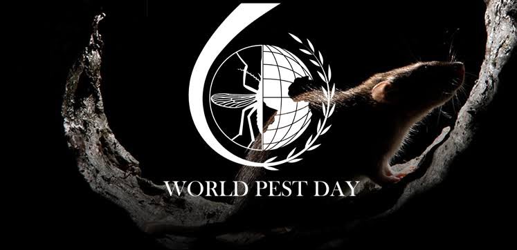 Bir günlüğüne sineksavarları, Raid’leri, Kov’ları bir kenara bırakıyoruz...

Çünkü 6 Haziran Dünya Haşereler Günü 😁

#worldpestday