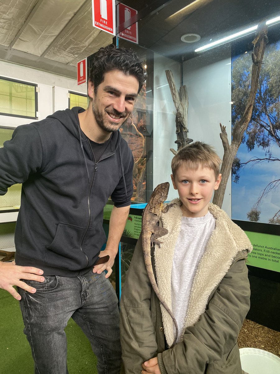 HerpetileThe's tweet image. Today I recorded a #podcast with Josh Cox from @ReptileEnc and got to see all his amazing #herps and other creatures! #Frillneck #Lizard #herpetology