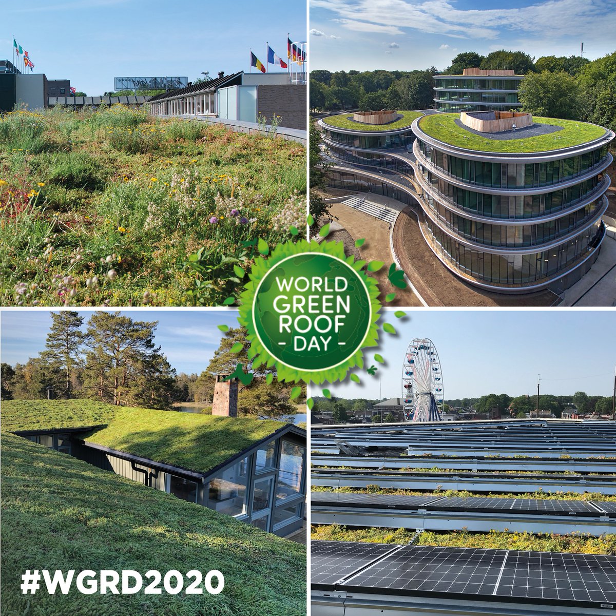 Today is World Green Roof Day! Green roofs are an important climate adaptive building shell. Join Sempergreen in greening cities globally to adapt to climate change. Together we make the world a little greener every day!
#WGRD #WGRD2020 #greenroofs #buildinggreen #urbangreen