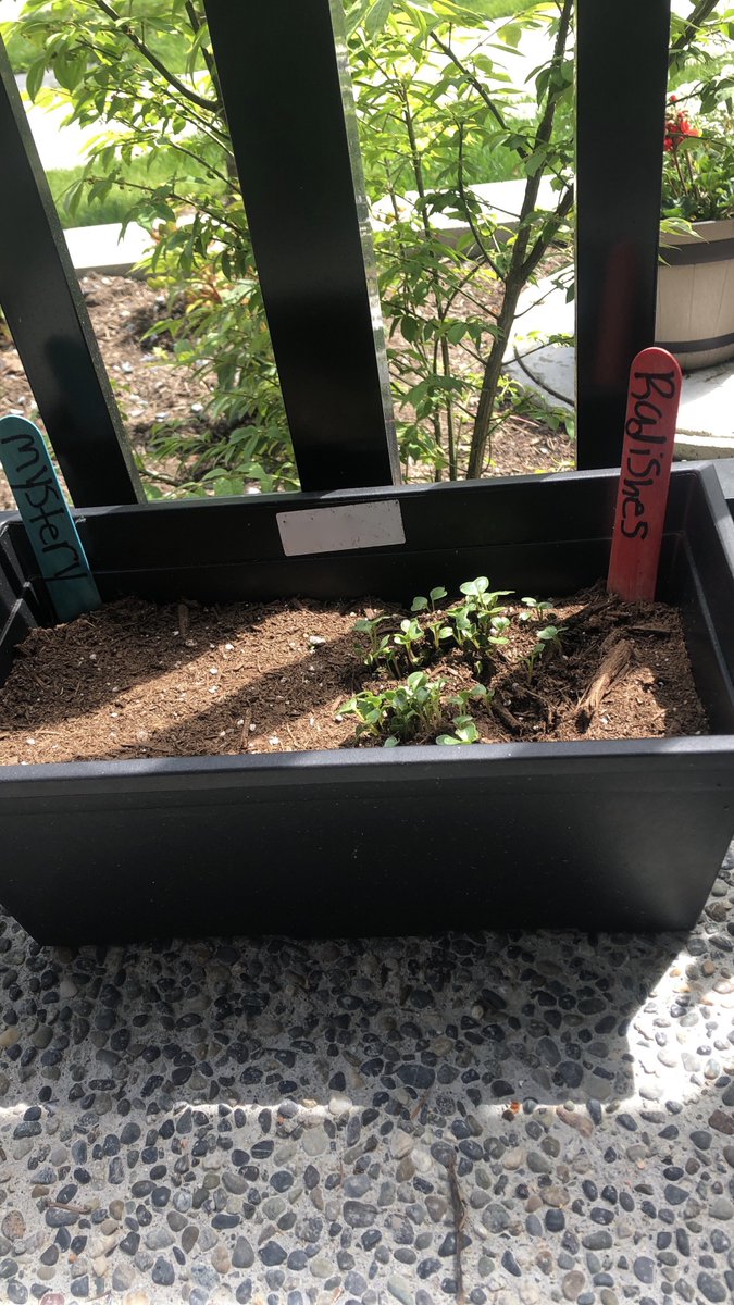 Vicky Ma tweet media