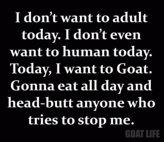 😆😂😂    🐐🐐🐐🐐
Have a wacky weekend, everybody and stay safe!!  😜